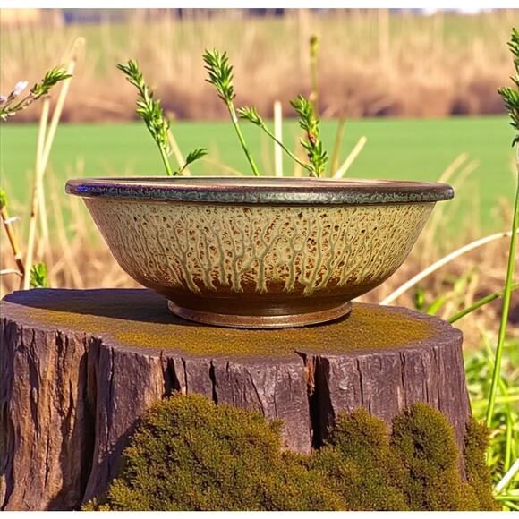 Brad Tucker Cedar Creek NC Studio Pottery Bowl-Ash Drip Celadon Teal Glaze-12'' - Picture 3 of 9